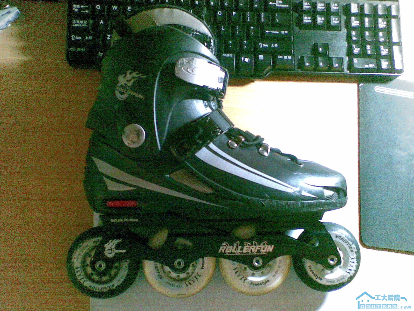 20100320(020).jpg