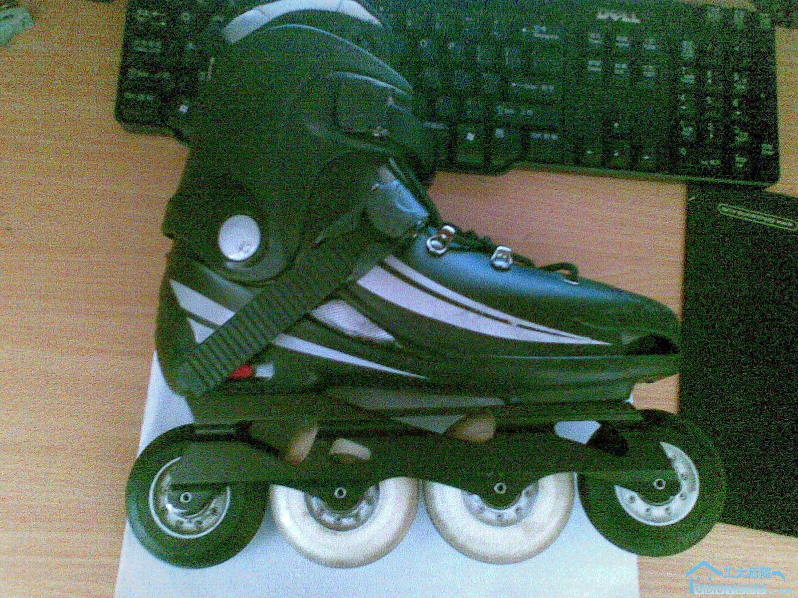 20100320(023).jpg