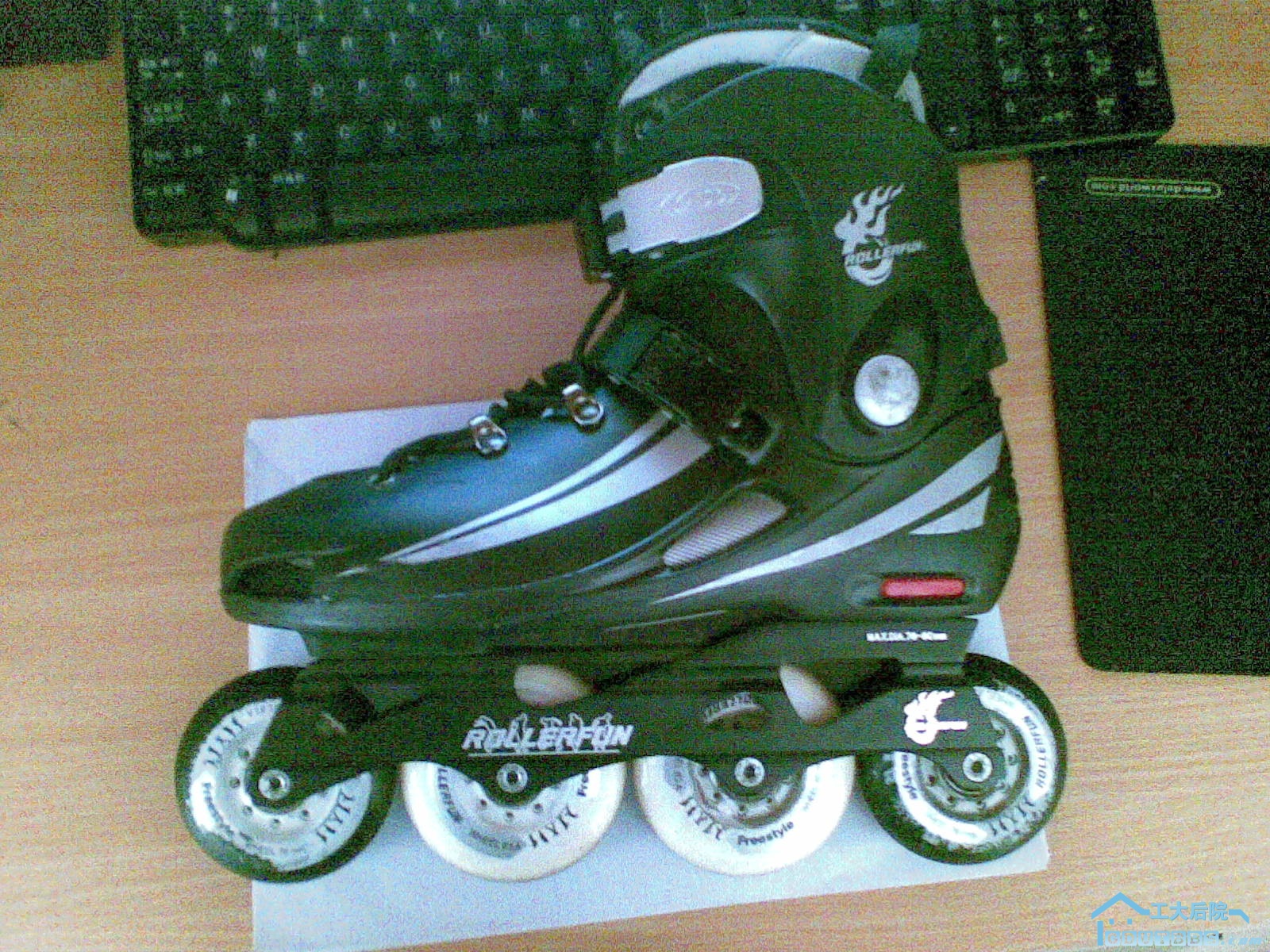 20100320(024).jpg