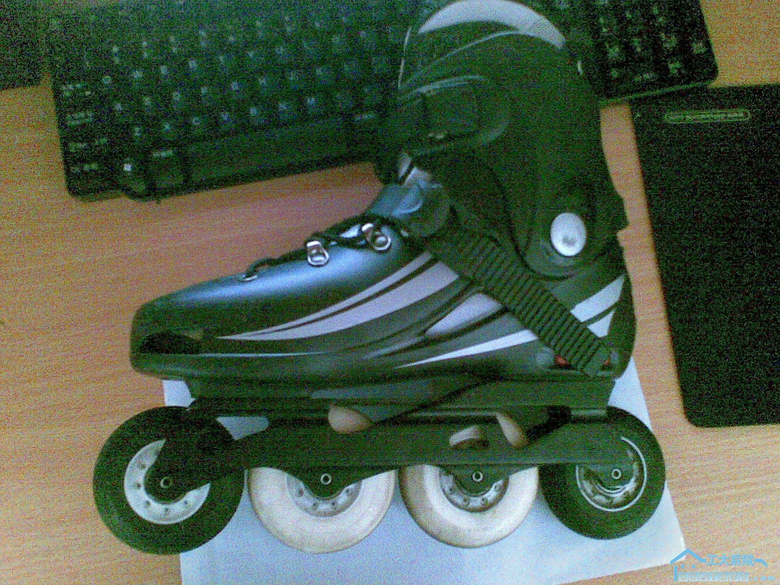 20100320(022).jpg
