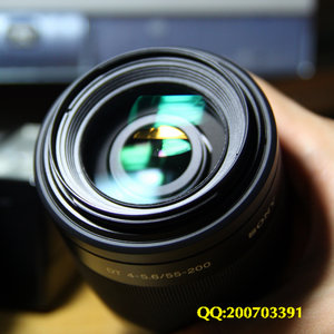 IMG_6774_光影_1.jpg