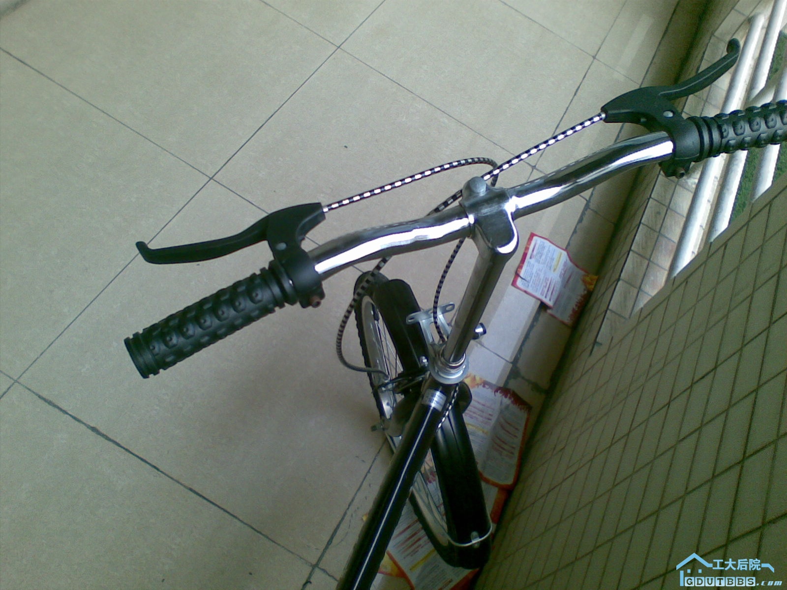 20100321(003).jpg