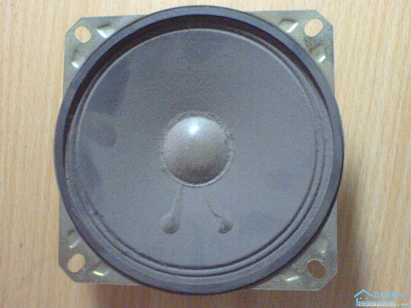DSC01049.JPG