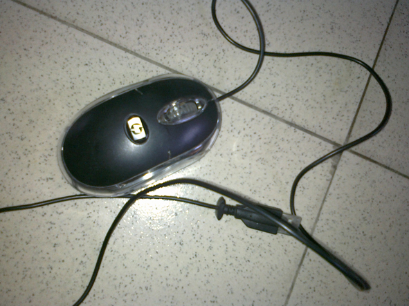 20100322011副本.jpg