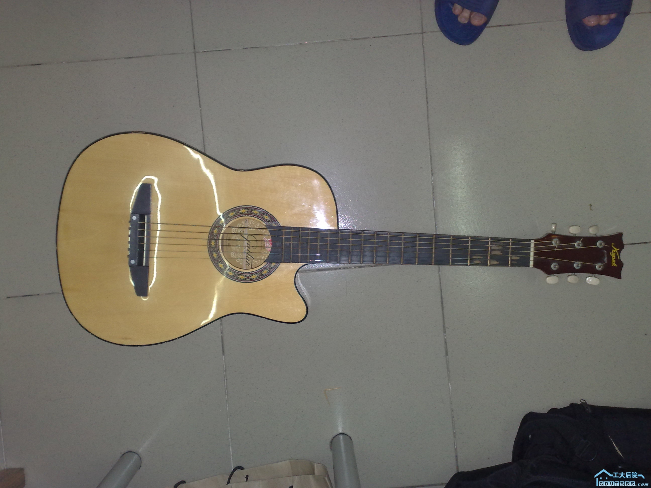 20100323560.jpg