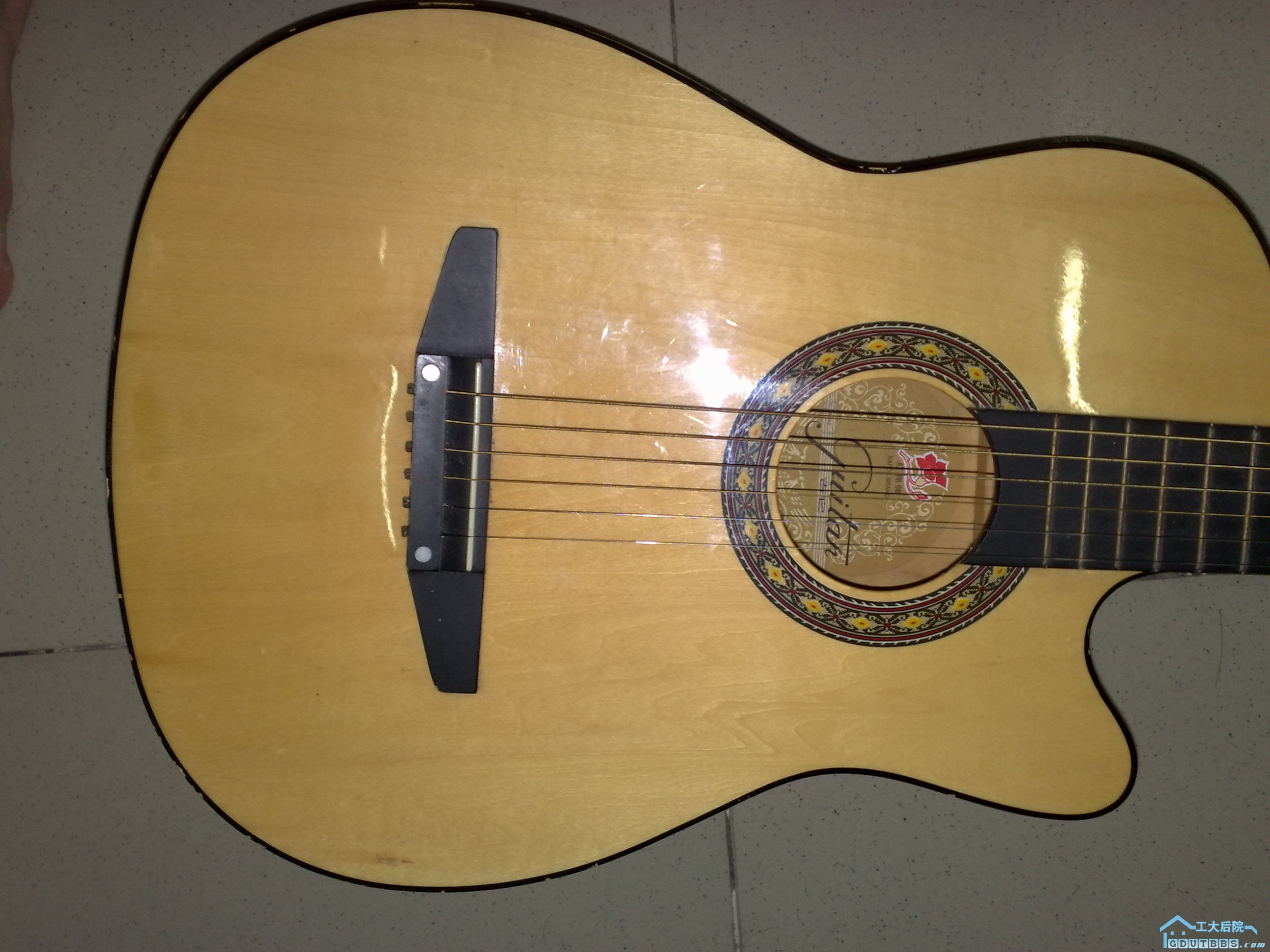 20100323561.jpg