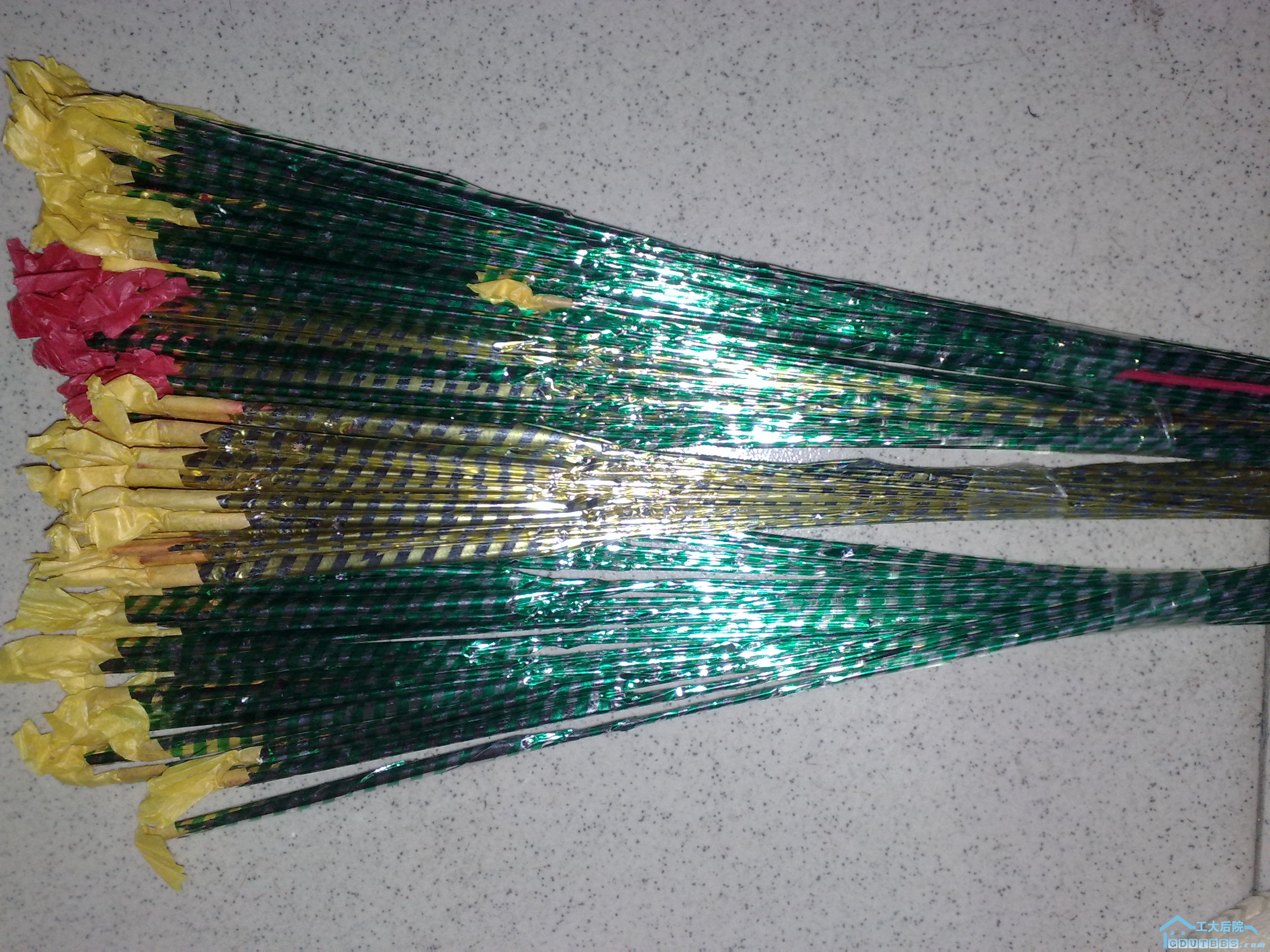 20100324027.jpg