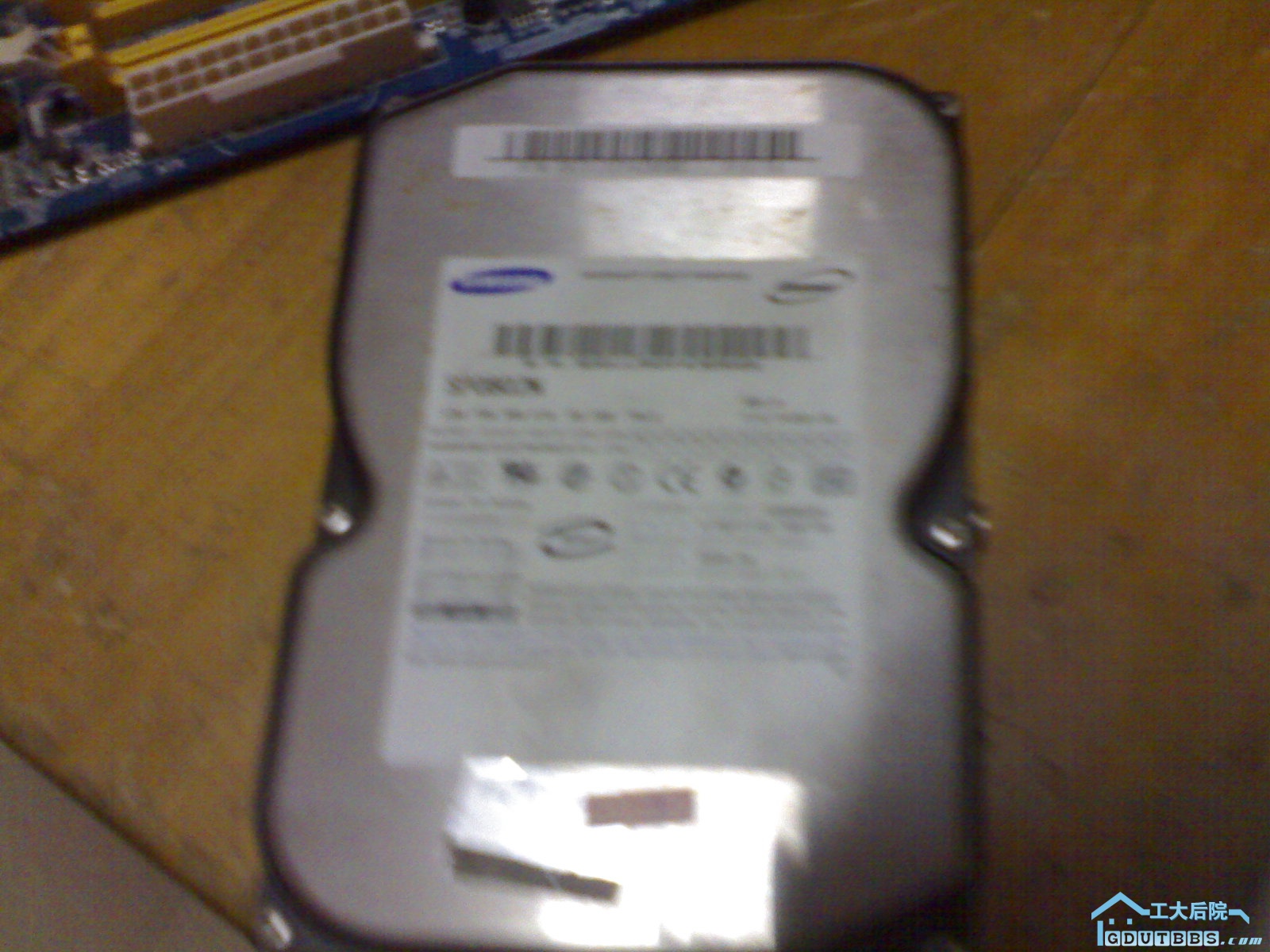 25032010005.jpg