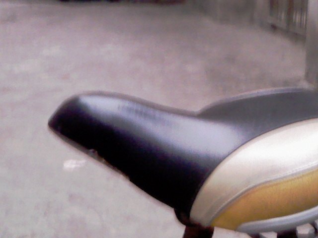 100327-124427-18.jpg
