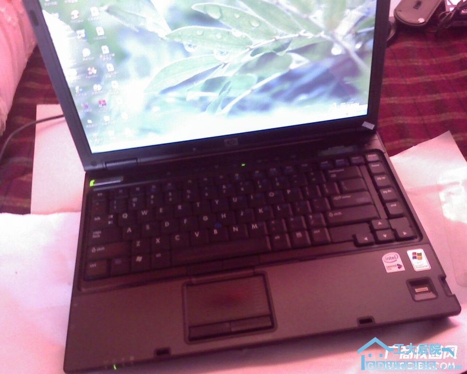 惠普nc6400 (21).jpg