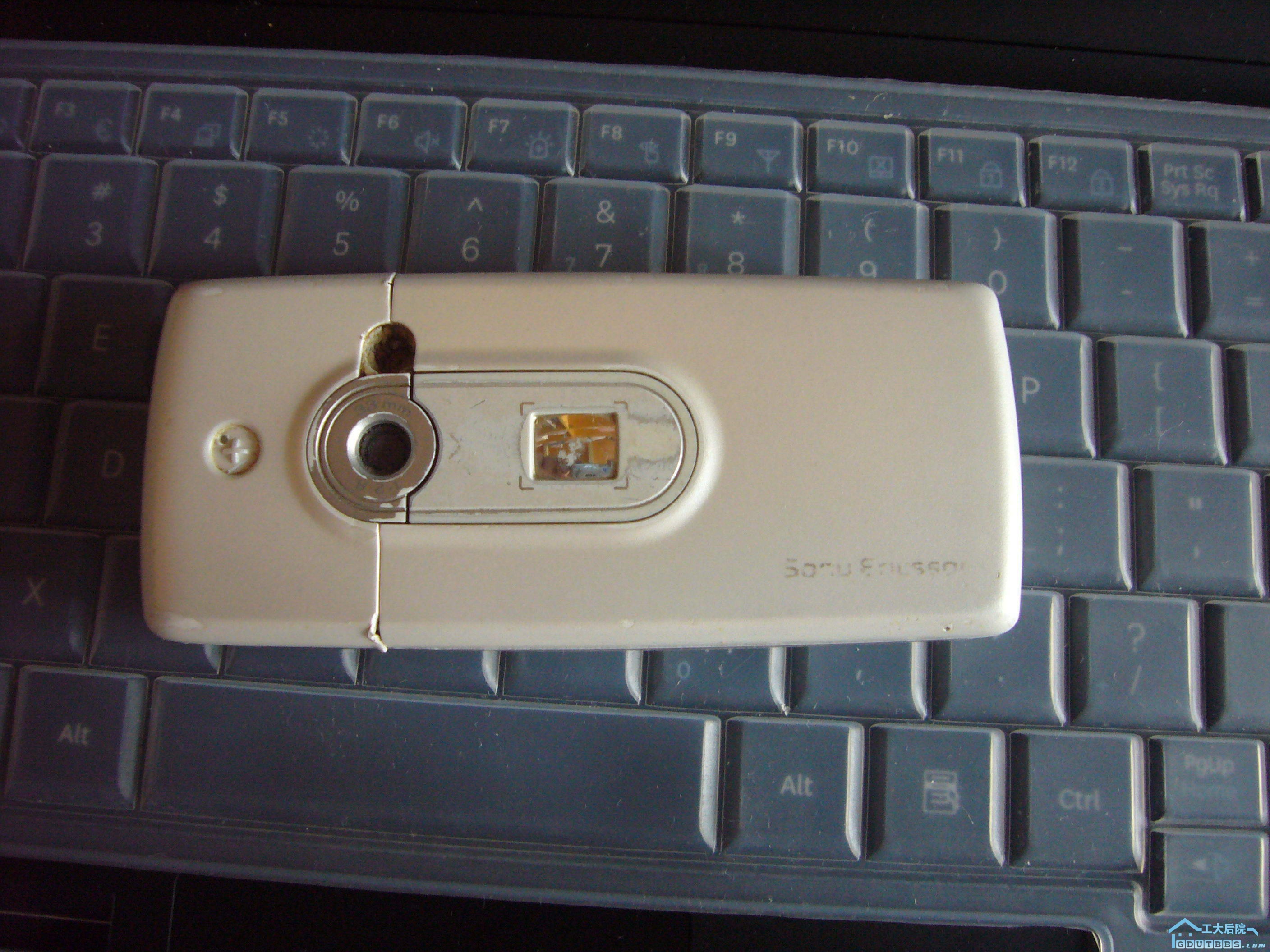 P1010070.JPG