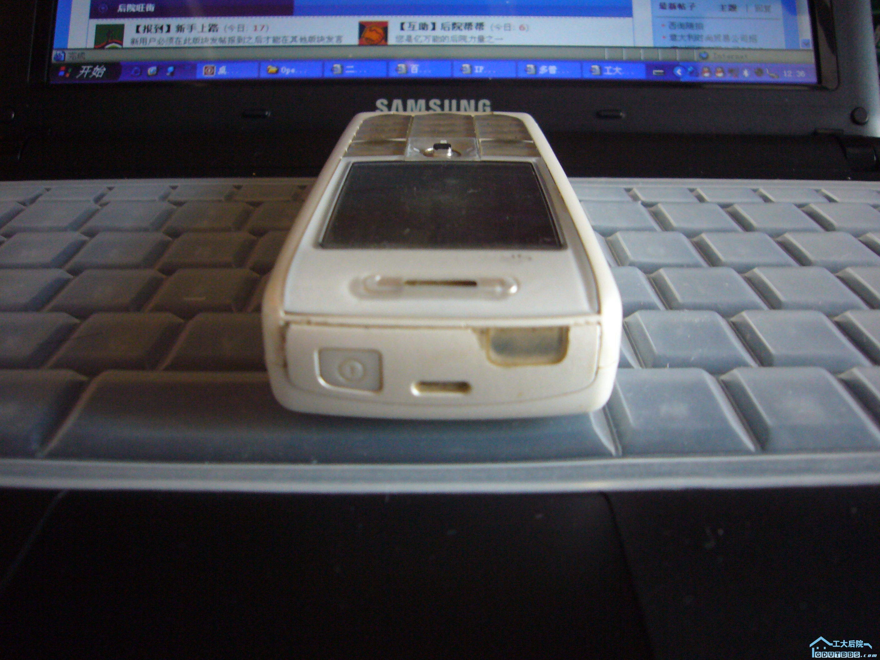 P1010068.JPG