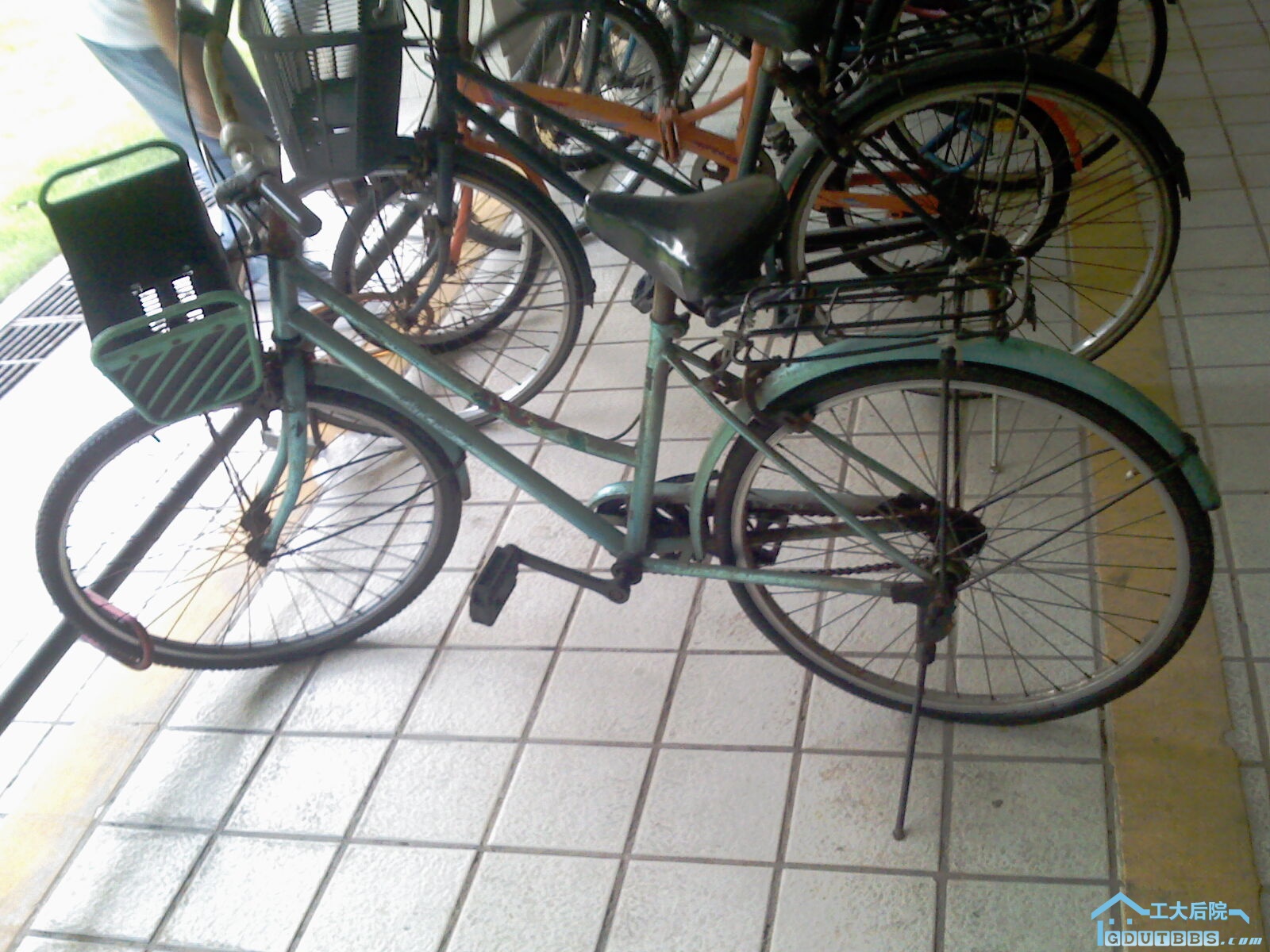 IMAG0072.jpg
