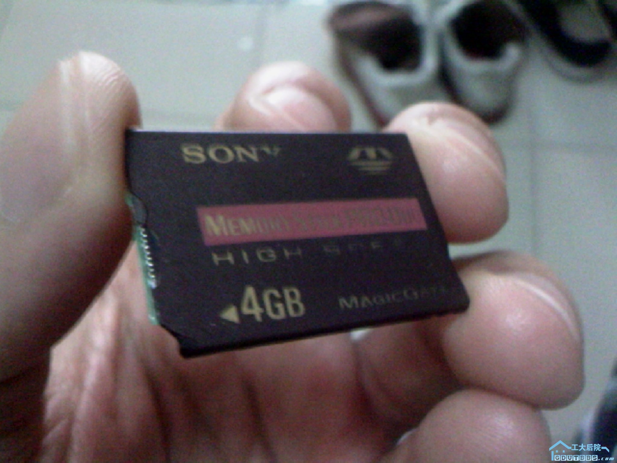 100408A000.jpg