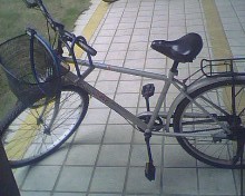 IMG0659A.jpg