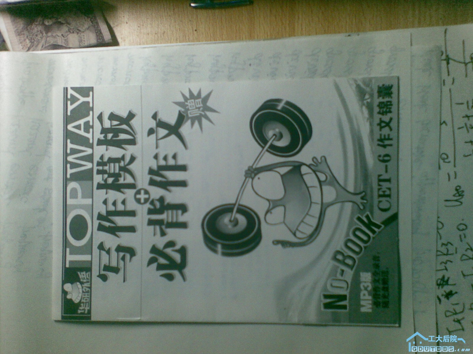 20100410_002.jpg