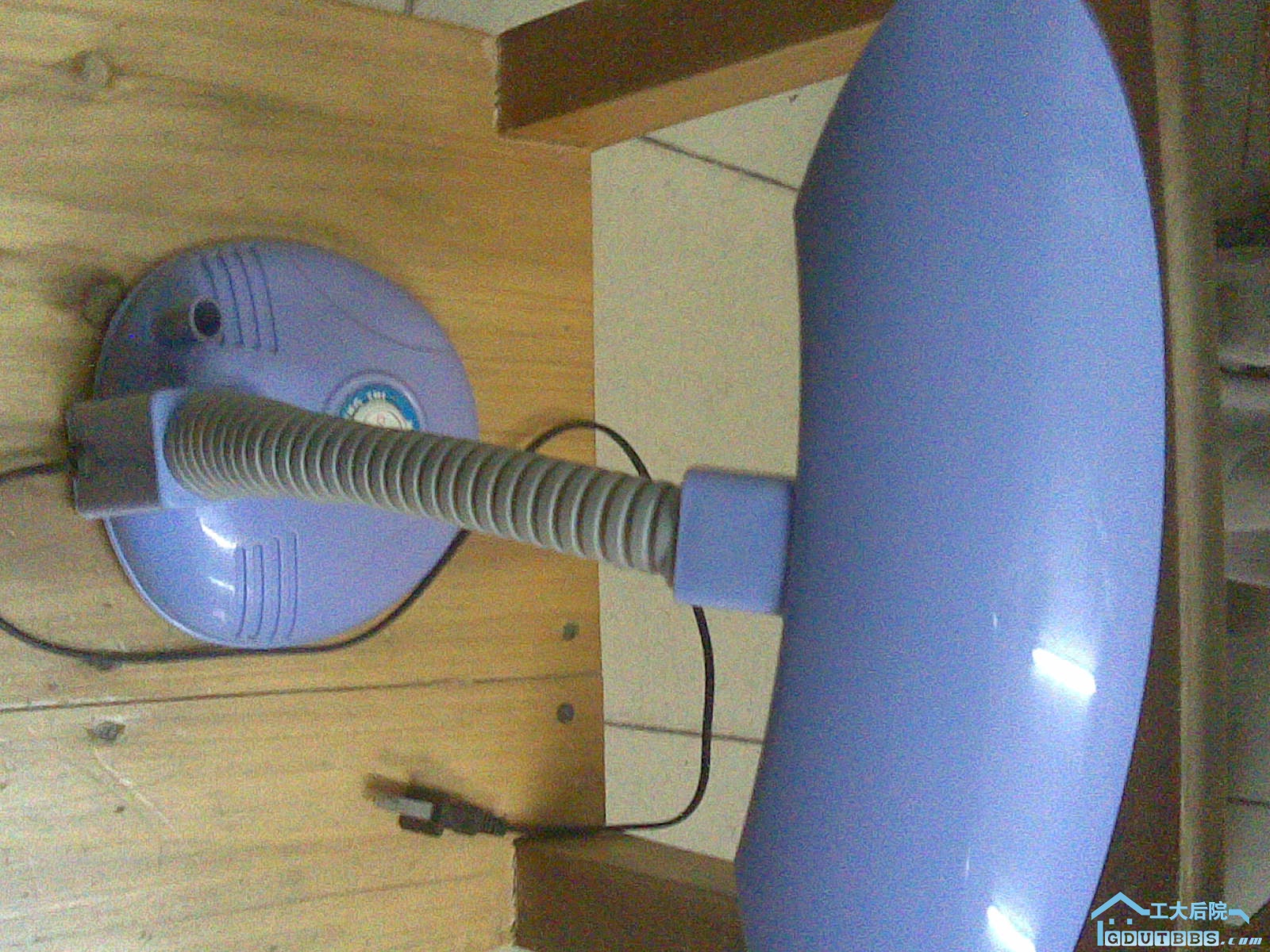 20100410(003).jpg