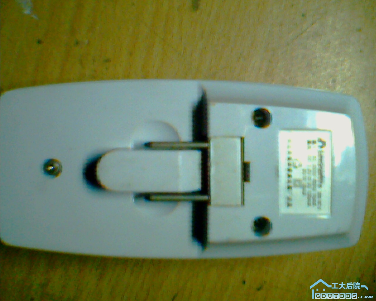 IMG0627A.jpg