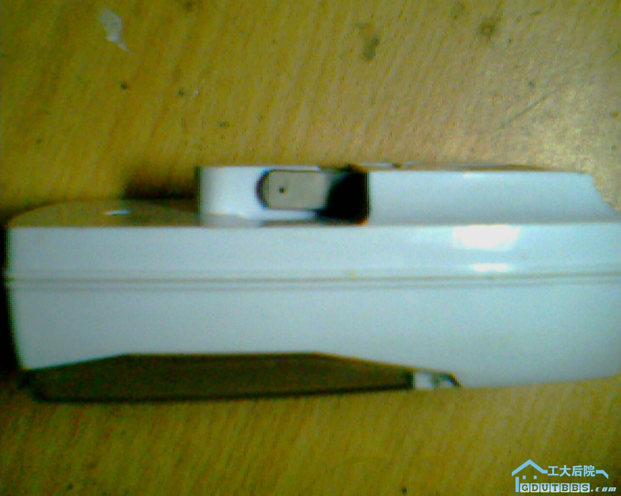 IMG0626A.jpg