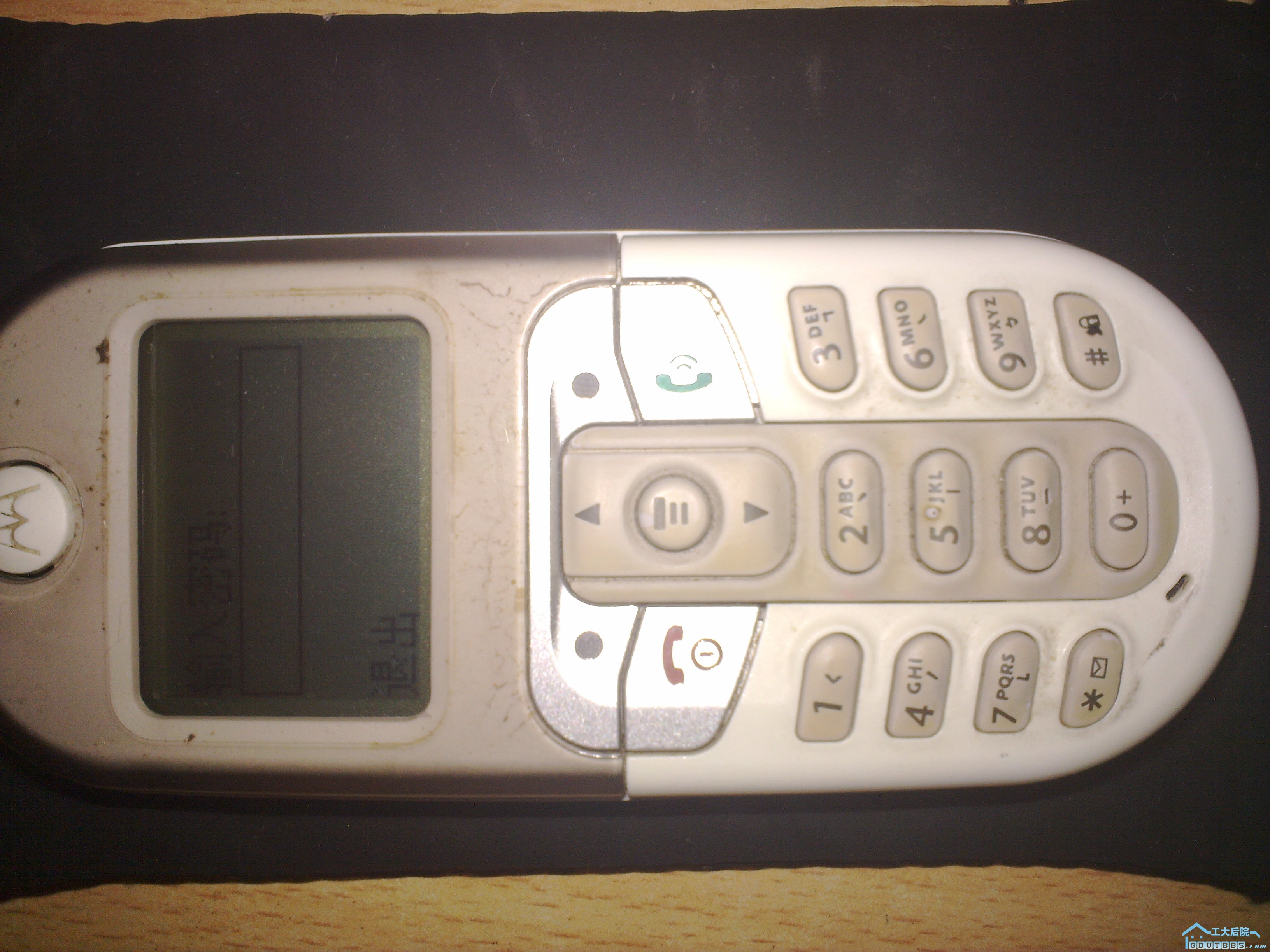 20100410012.jpg