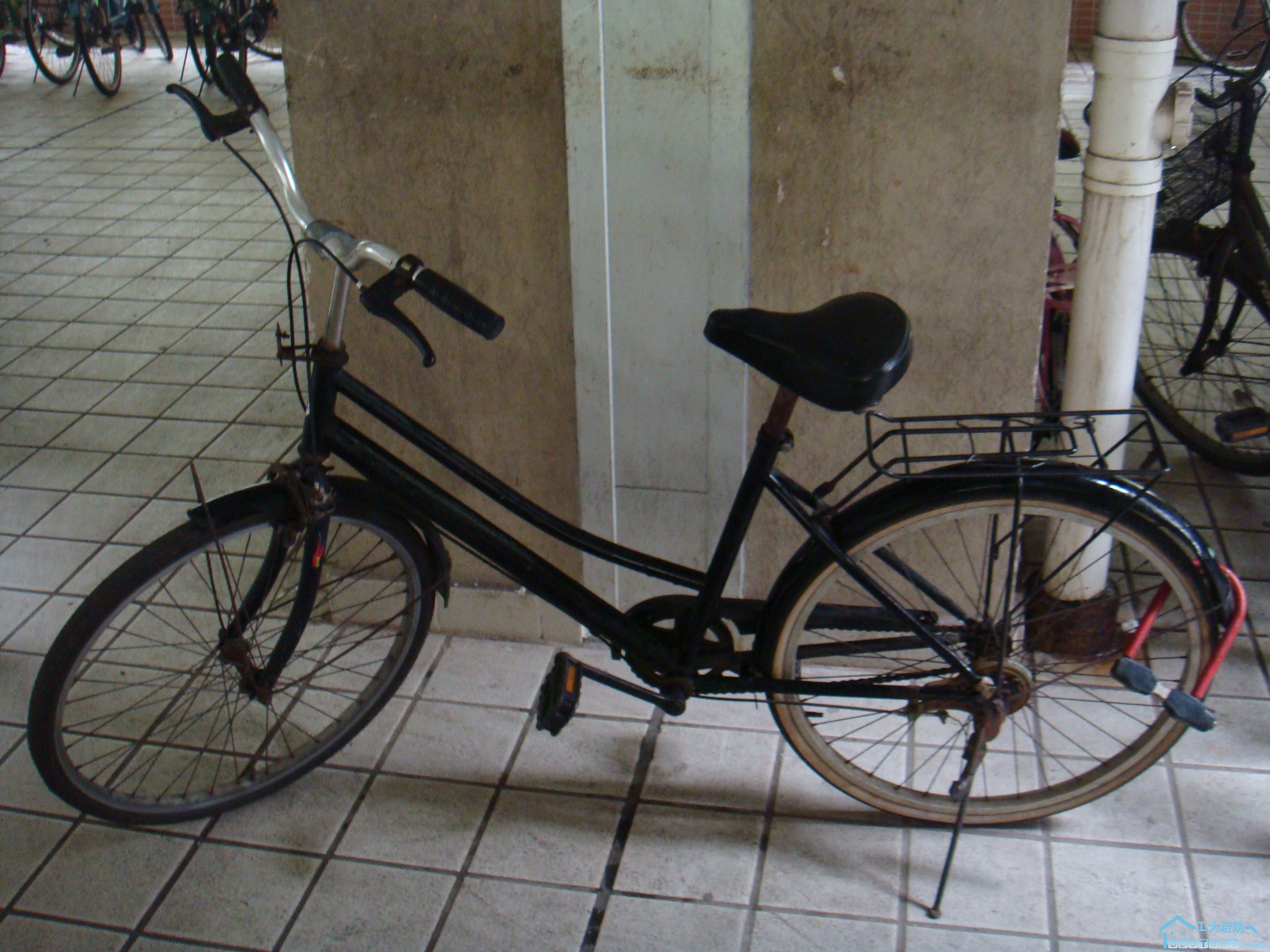 DSC04023.JPG
