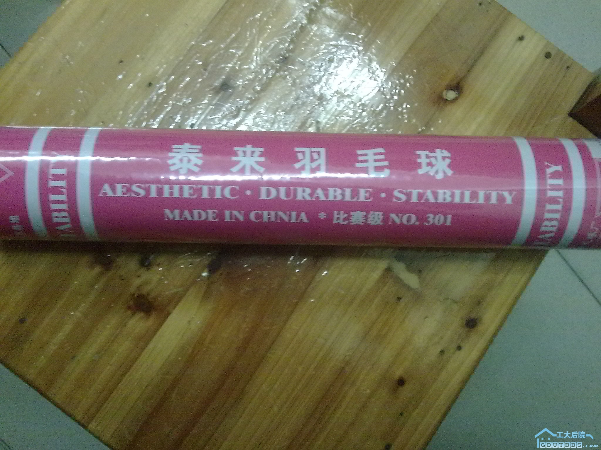 泰来羽毛球.jpg