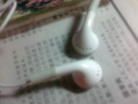 20100425029.jpg