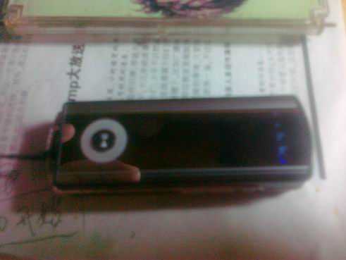 20100425021.jpg