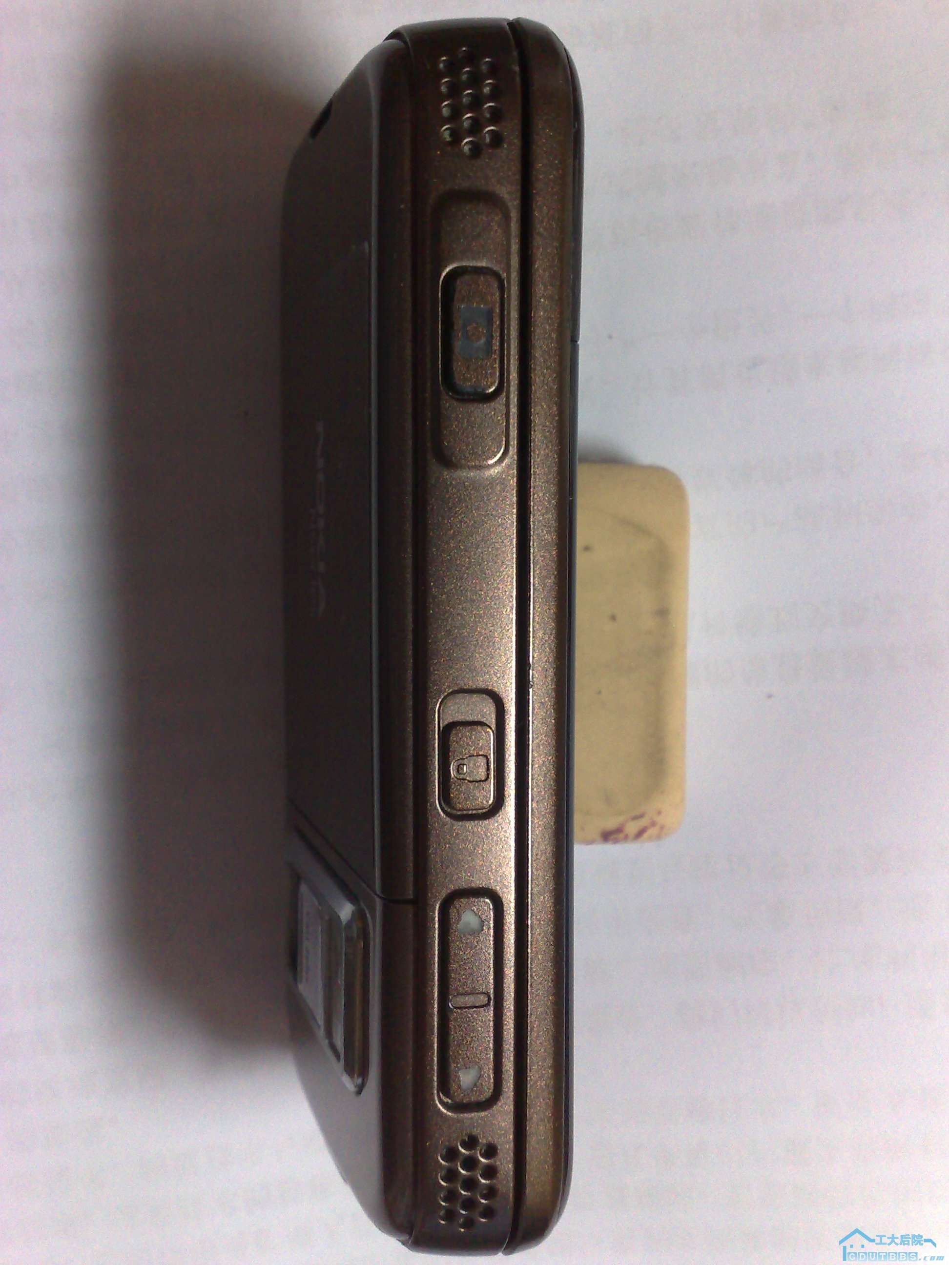 20100420295.jpg