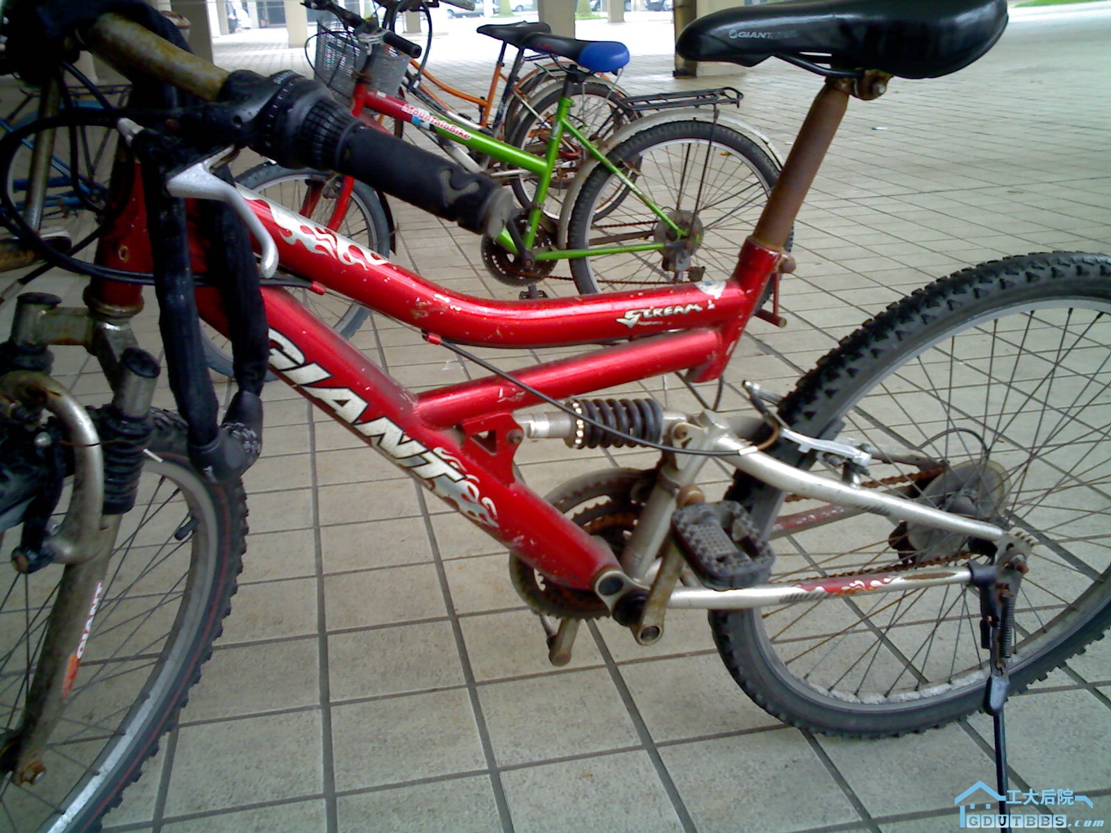 IMG017.jpg