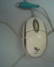 IMG0676A.jpg