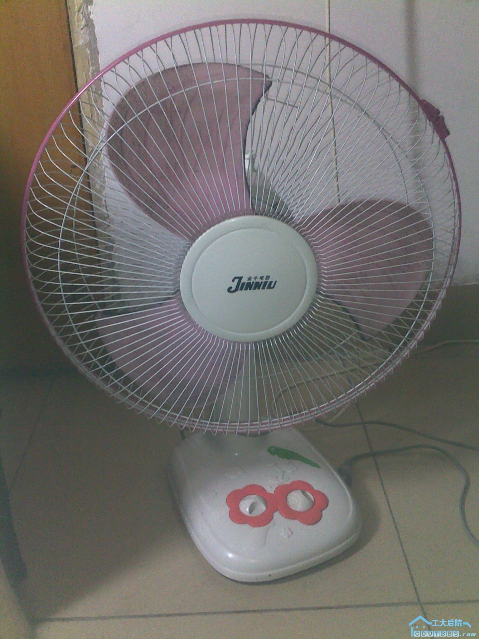 20100428075.jpg