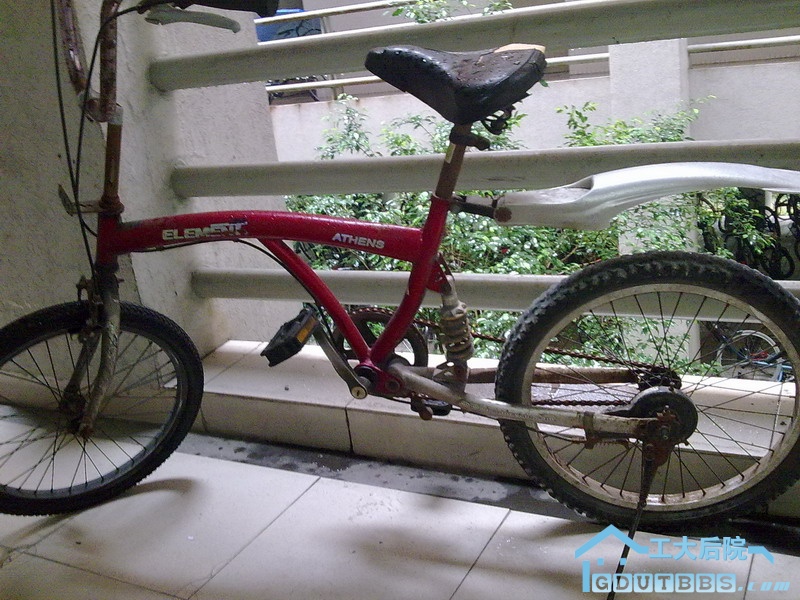 20100429160.jpg