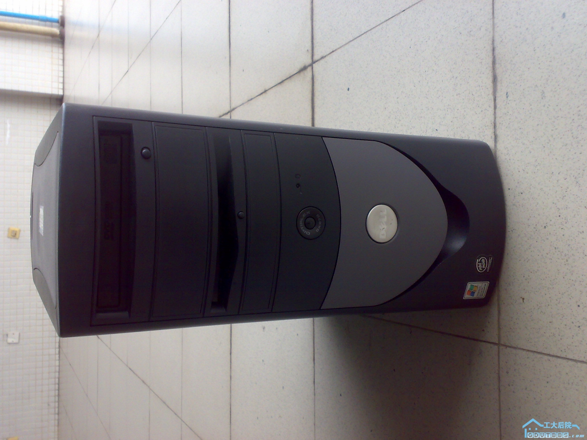 20100430131.jpg