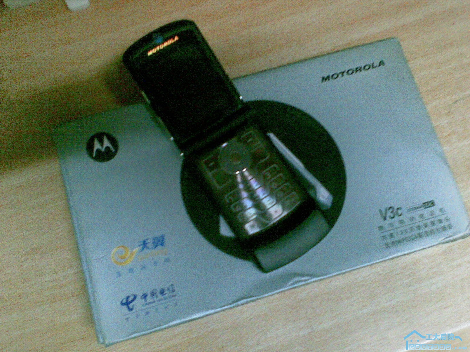 20100424_011.jpg