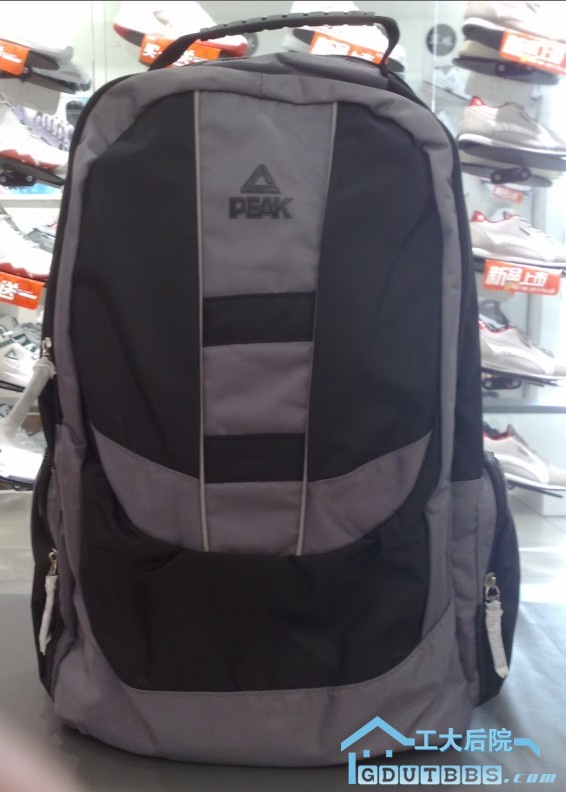 电脑专用双肩包 特价 100.jpg