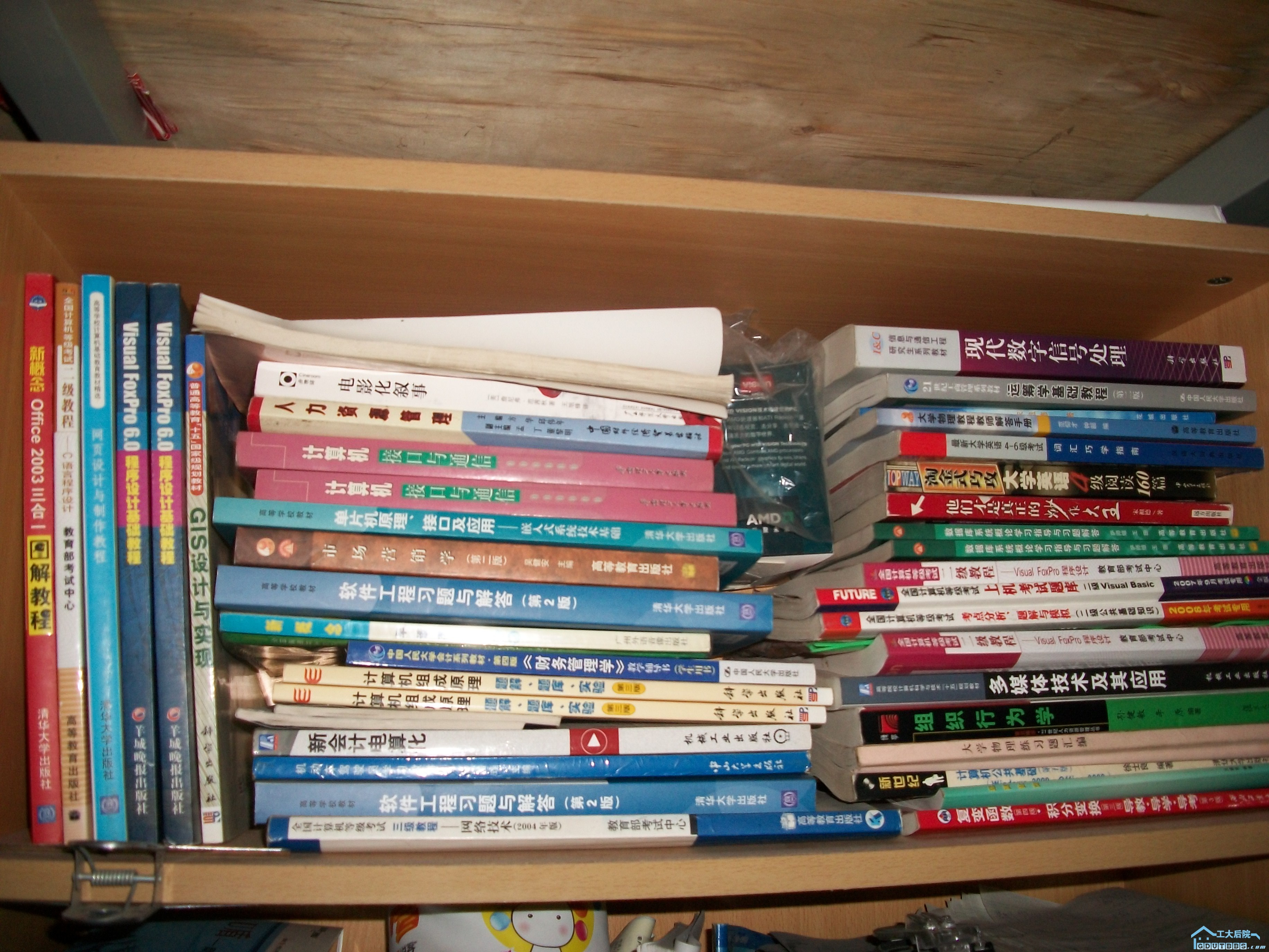 100_0833.JPG