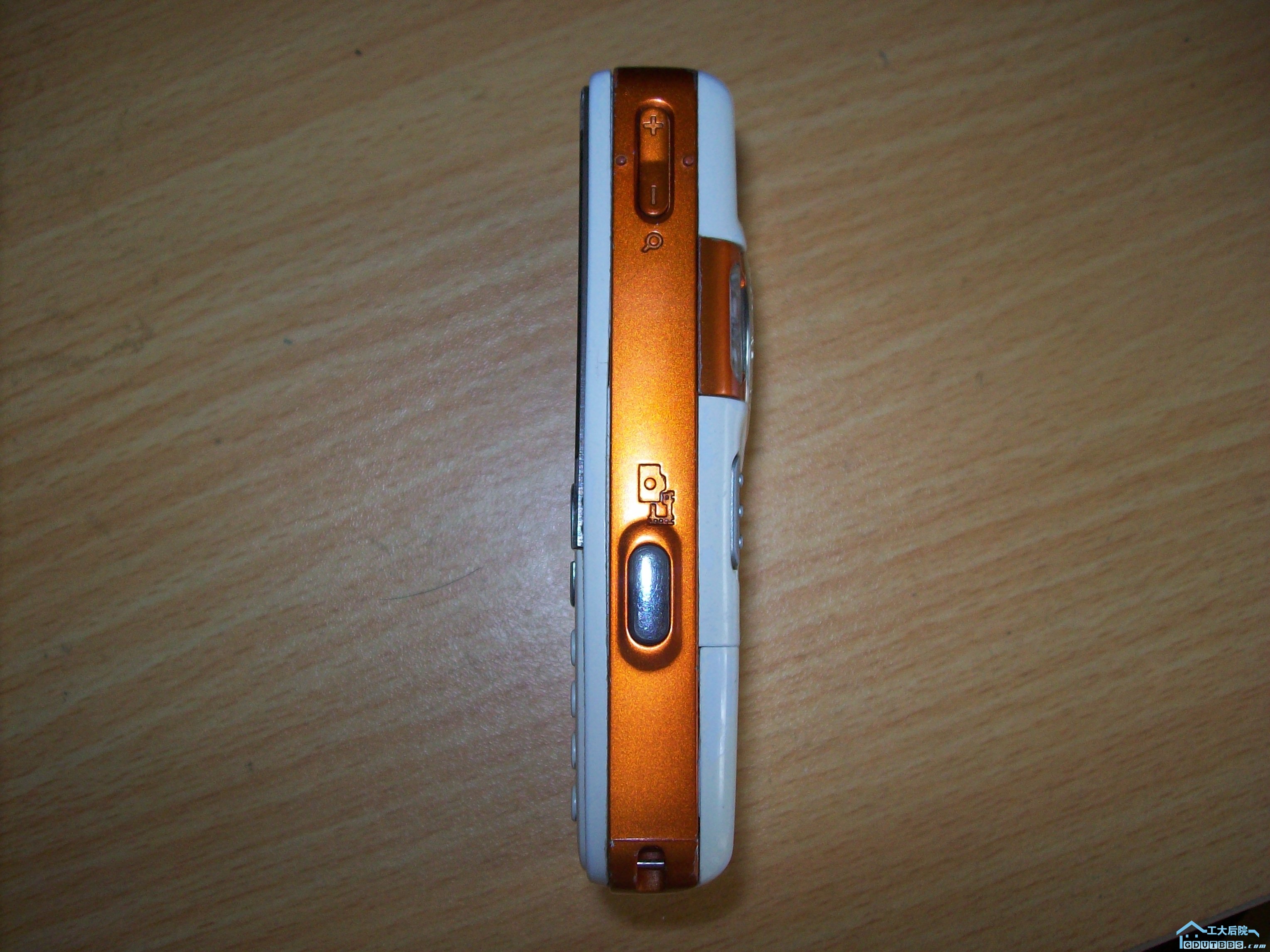 100_3974.JPG