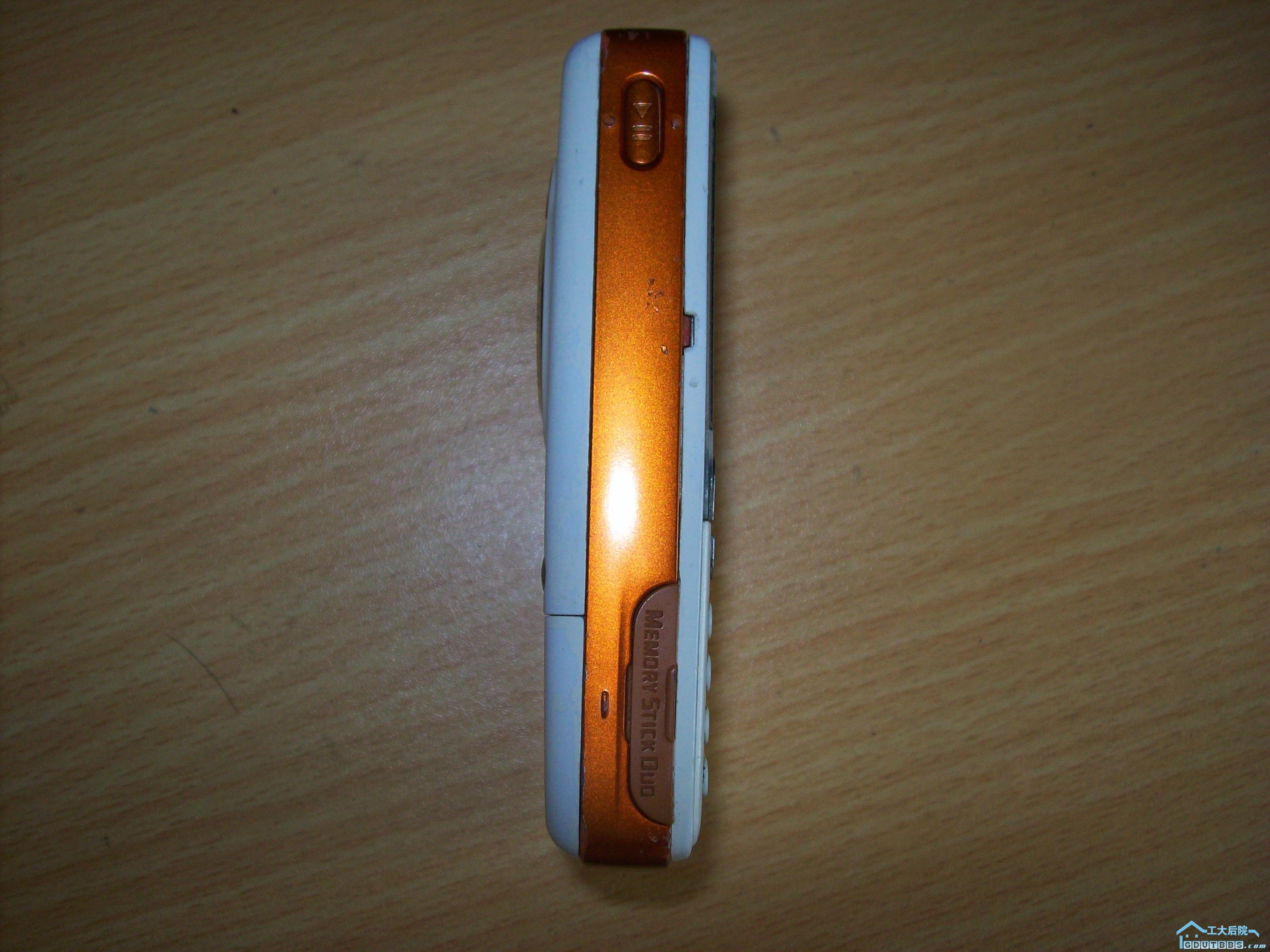 100_3975.JPG
