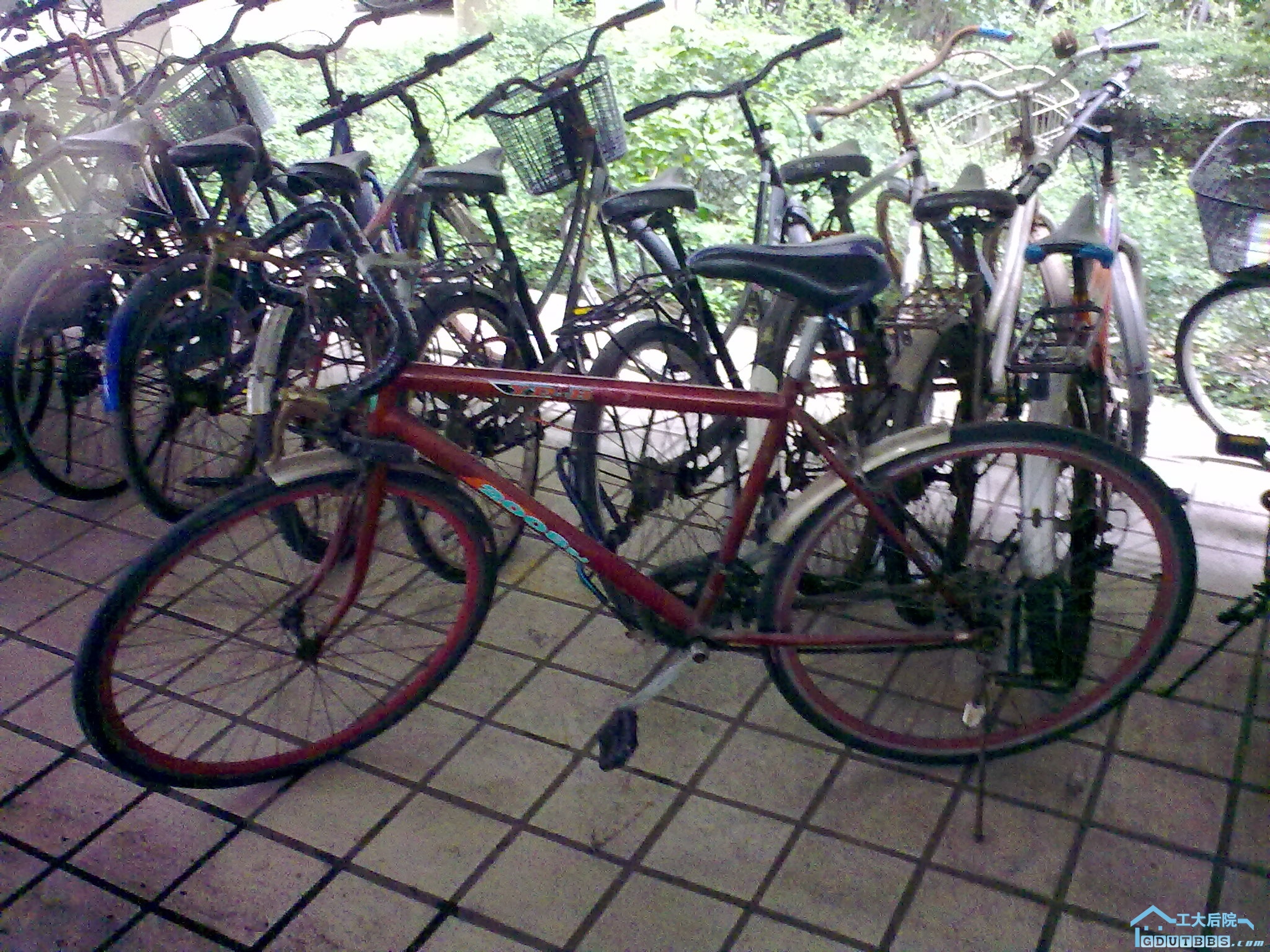 20100512134.jpg