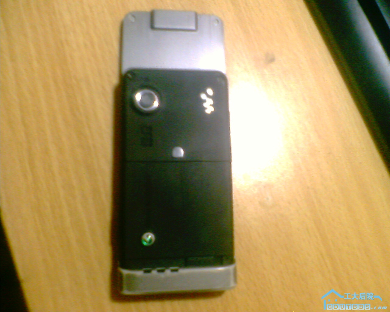 IMG1124A.jpg