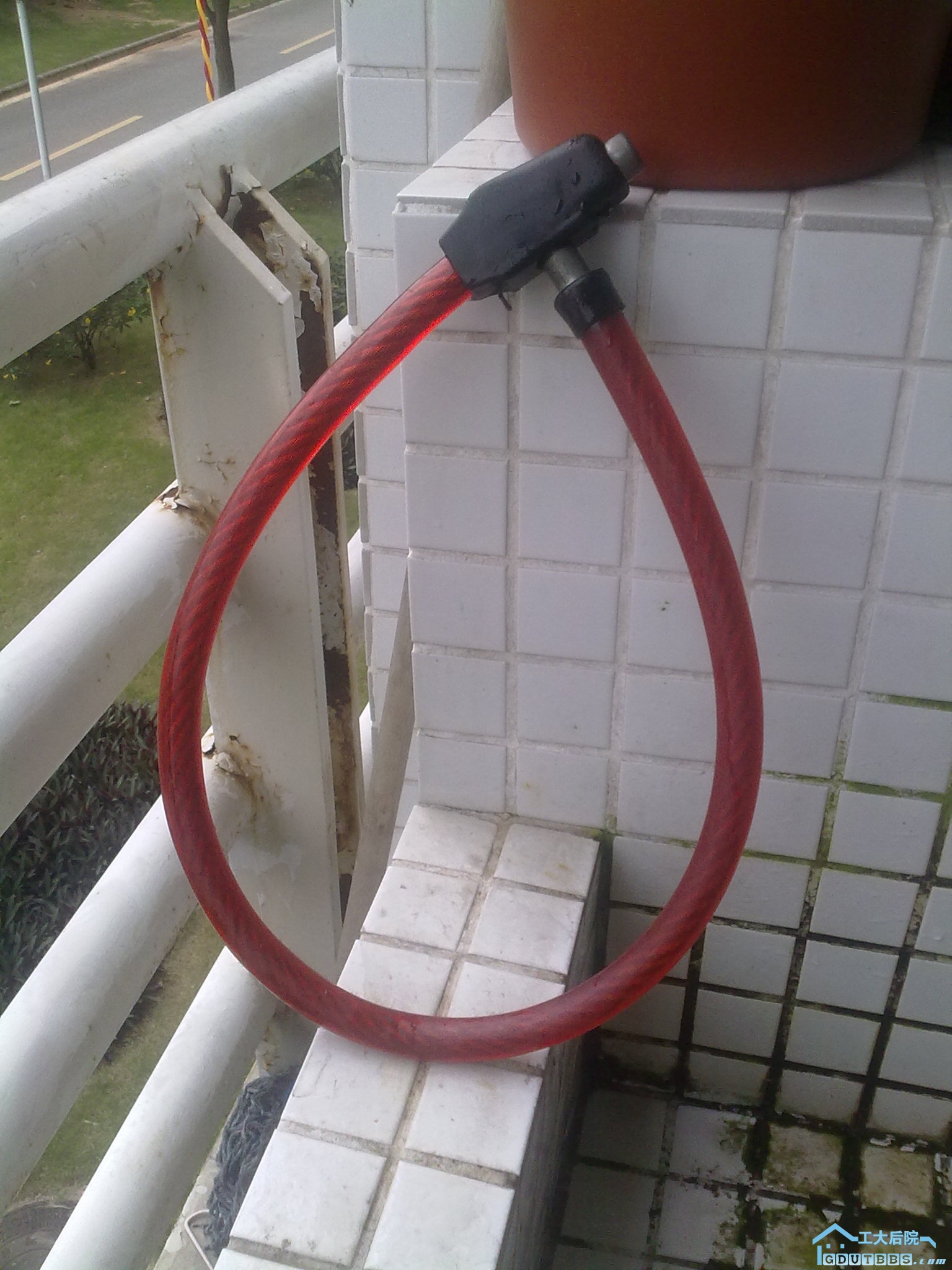 20100512250.jpg