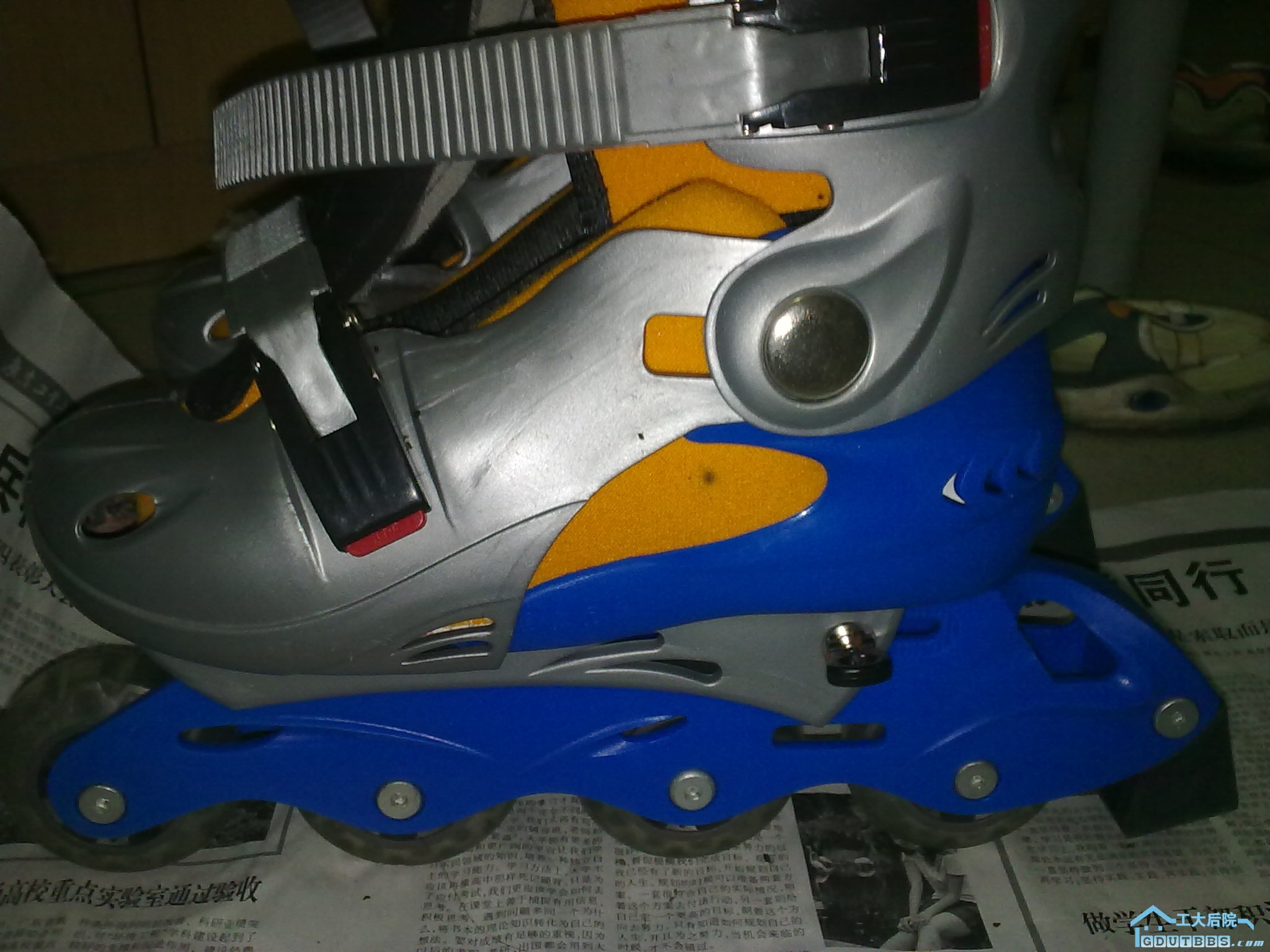20100513221.jpg