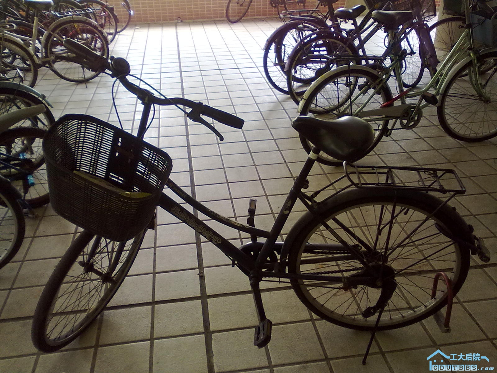 20100516071.jpg