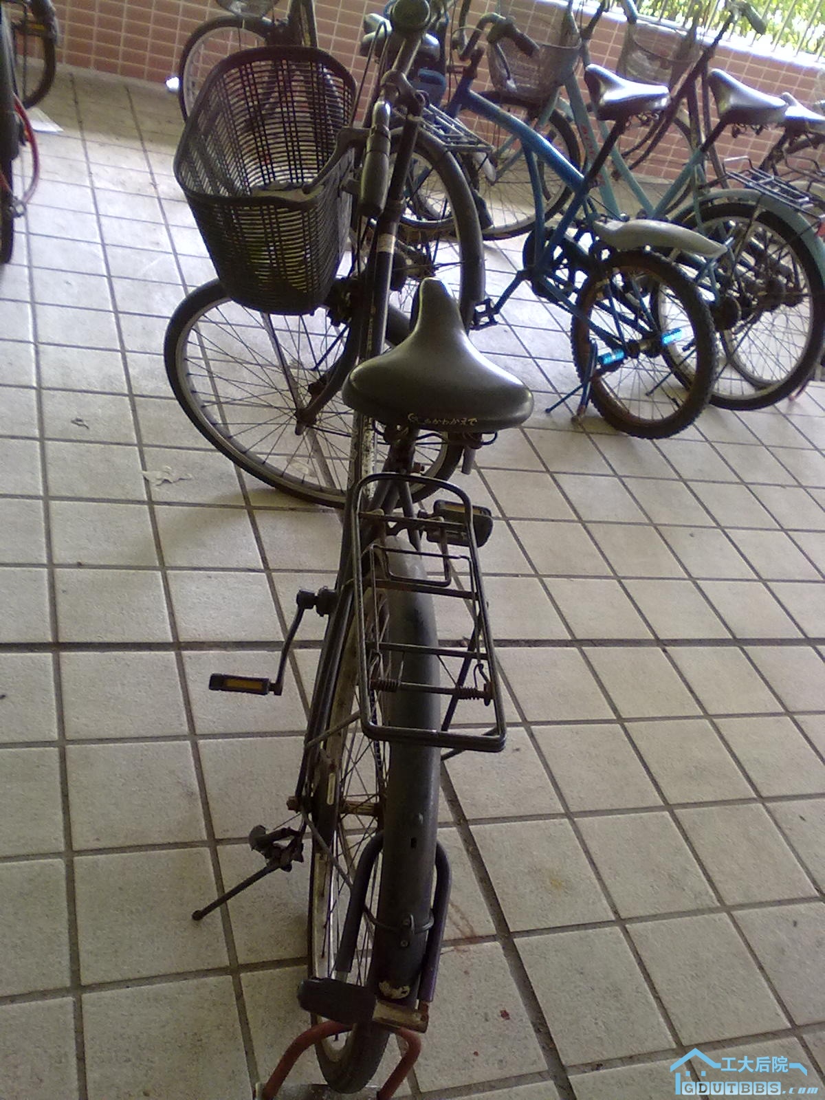20100516075.jpg
