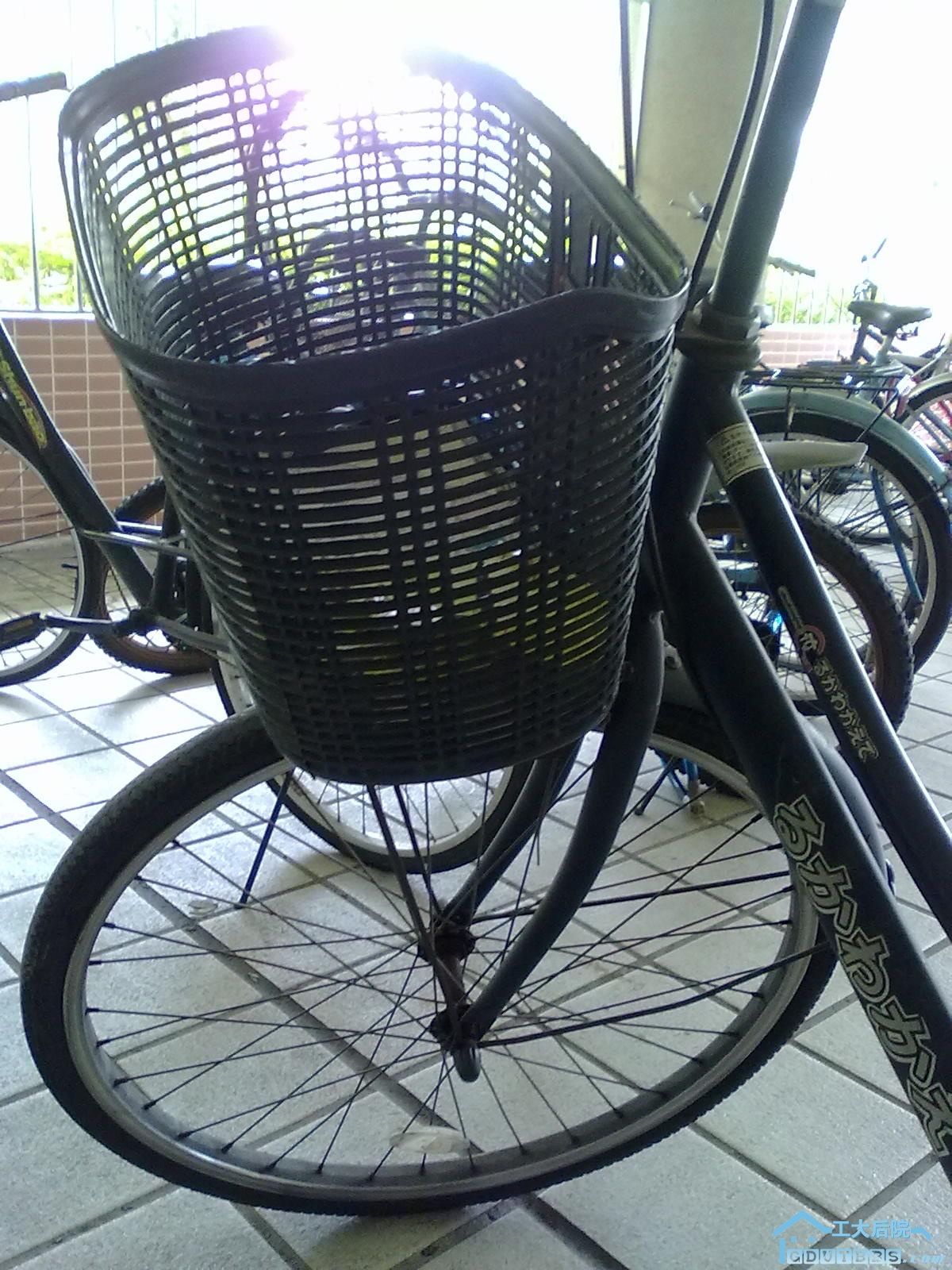 20100516073.jpg