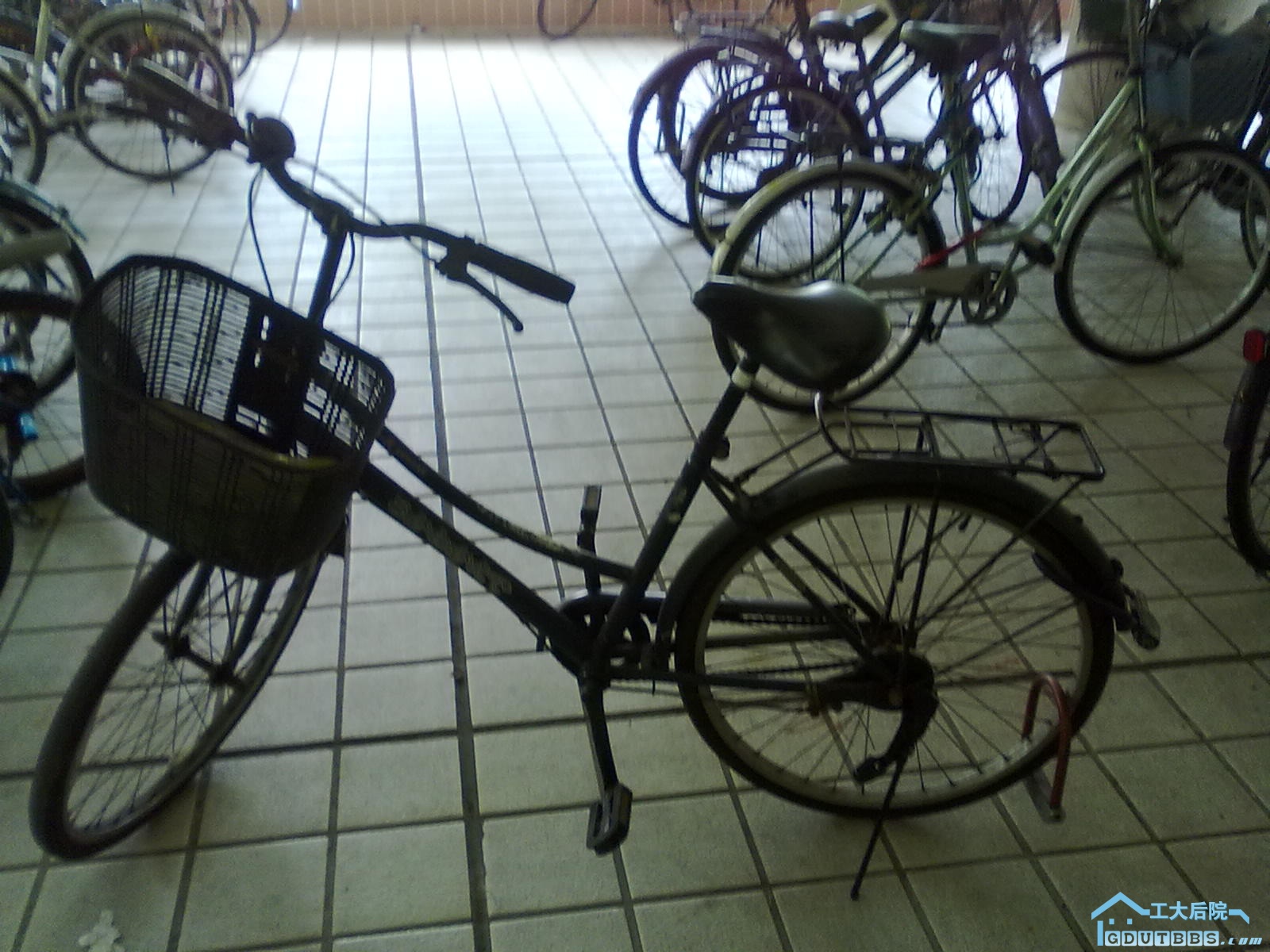 20100516070.jpg