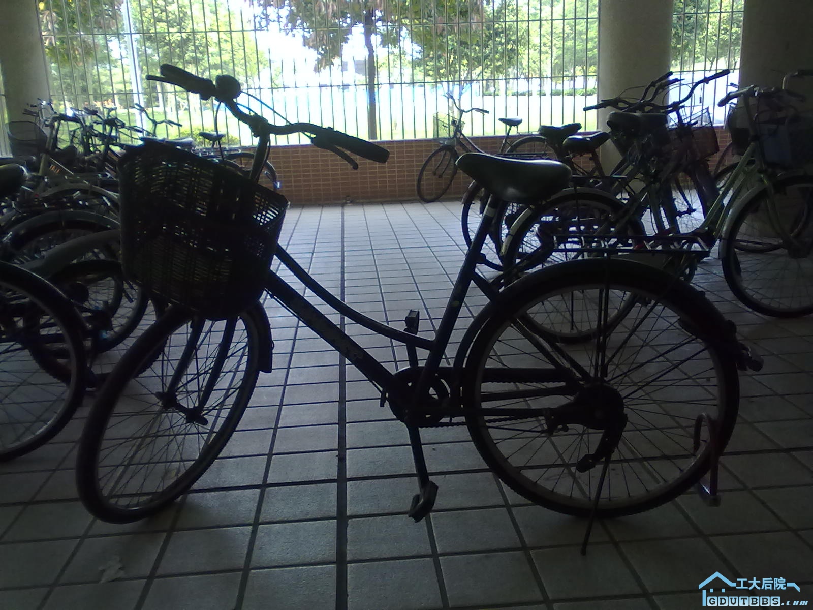20100516072.jpg
