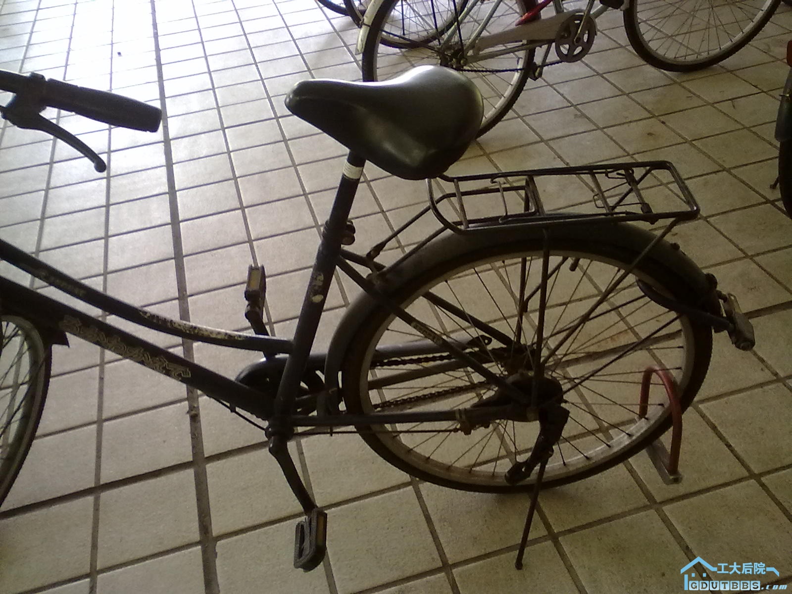 20100516074.jpg