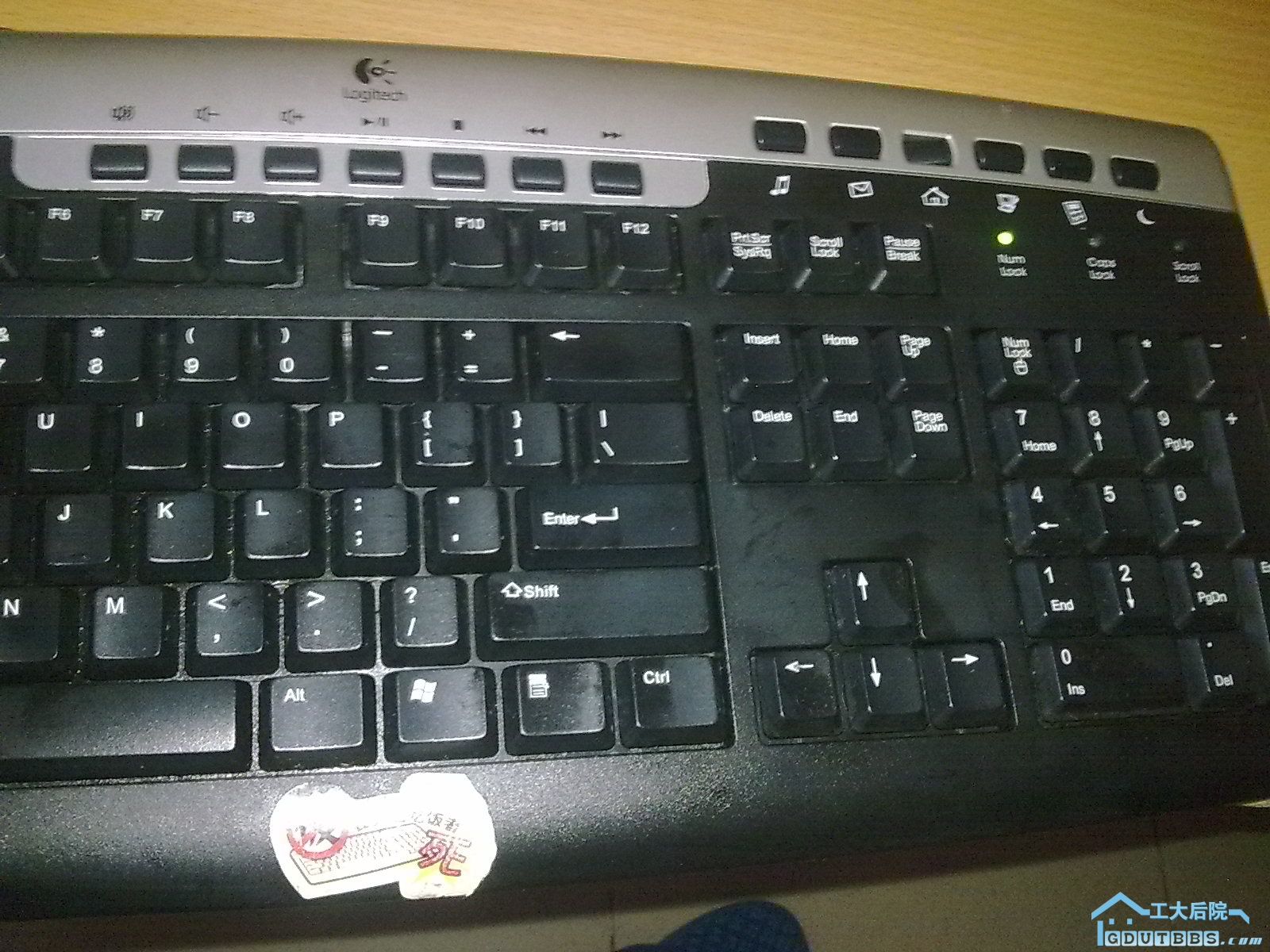 20100516213.jpg